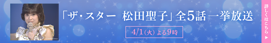「ザ・スター　松田聖子」全5話一挙放送